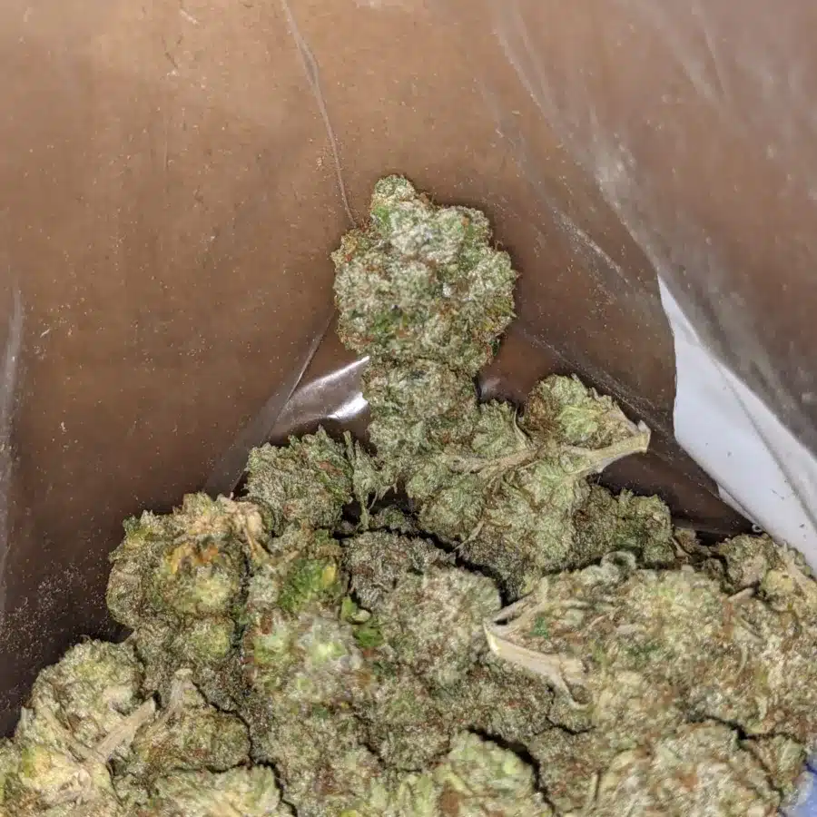 Fire Bubba 4 I Fire Bubba