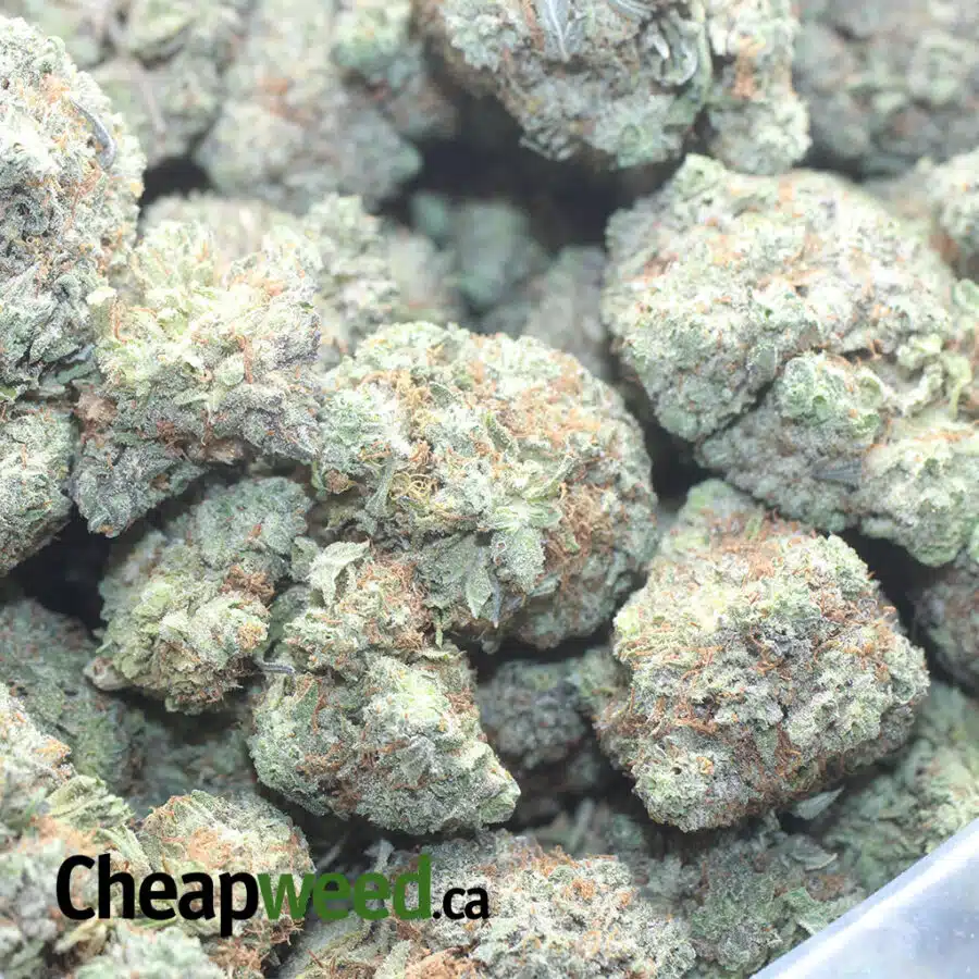 GREEN CRACK 1 1 I Green Crack #2