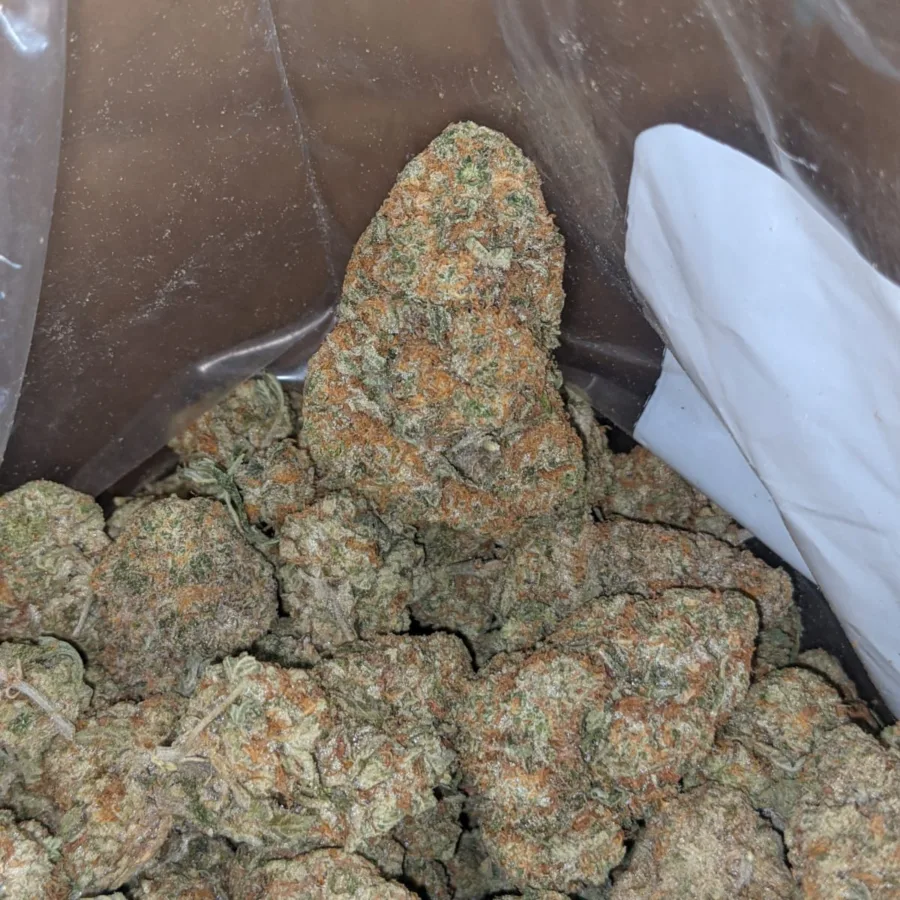 Garlic Breath 1 I $ 46 Oz - Garlic Breath