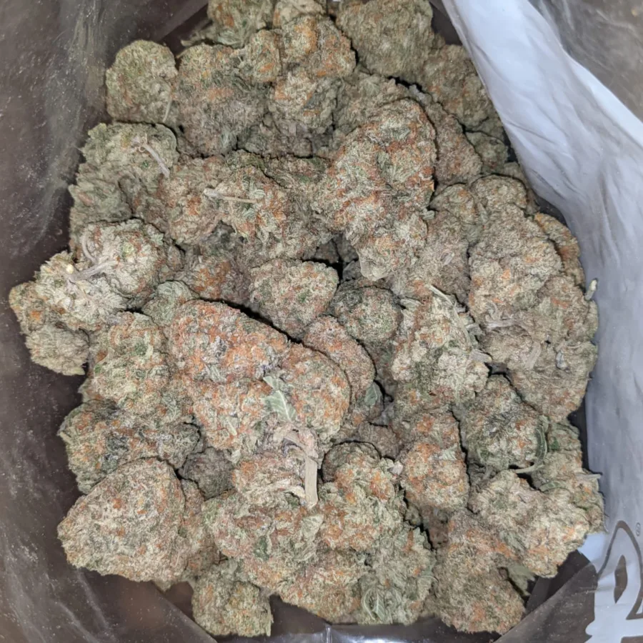 Garlic Breath 2 I $ 46 Oz - Garlic Breath