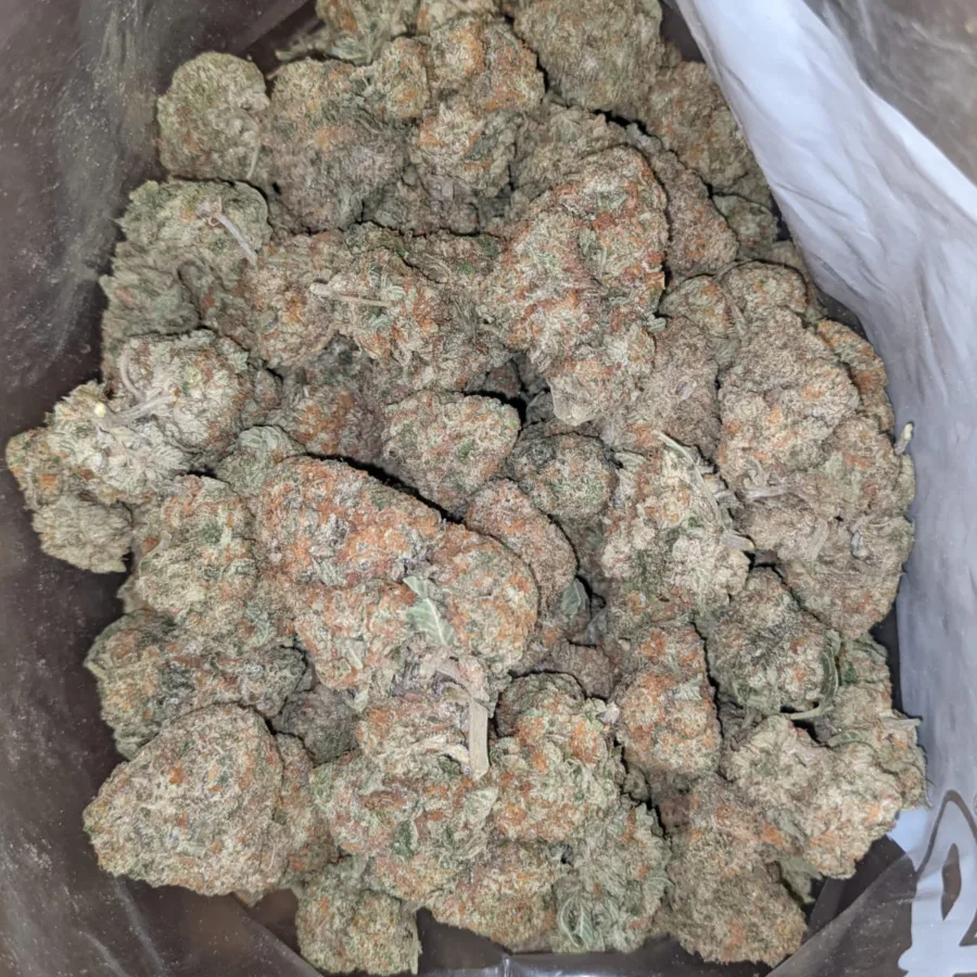 Garlic Breath 3 I $ 46 Oz - Garlic Breath