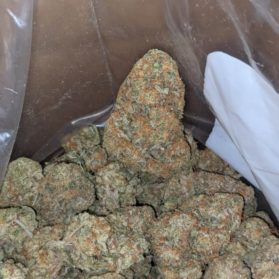 Garlic Breath 4 I $ 46 Oz - Garlic Breath