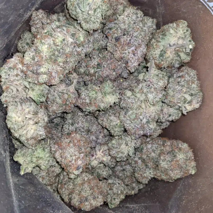 Godfather 1 1 I $ 113 Oz - Godfather