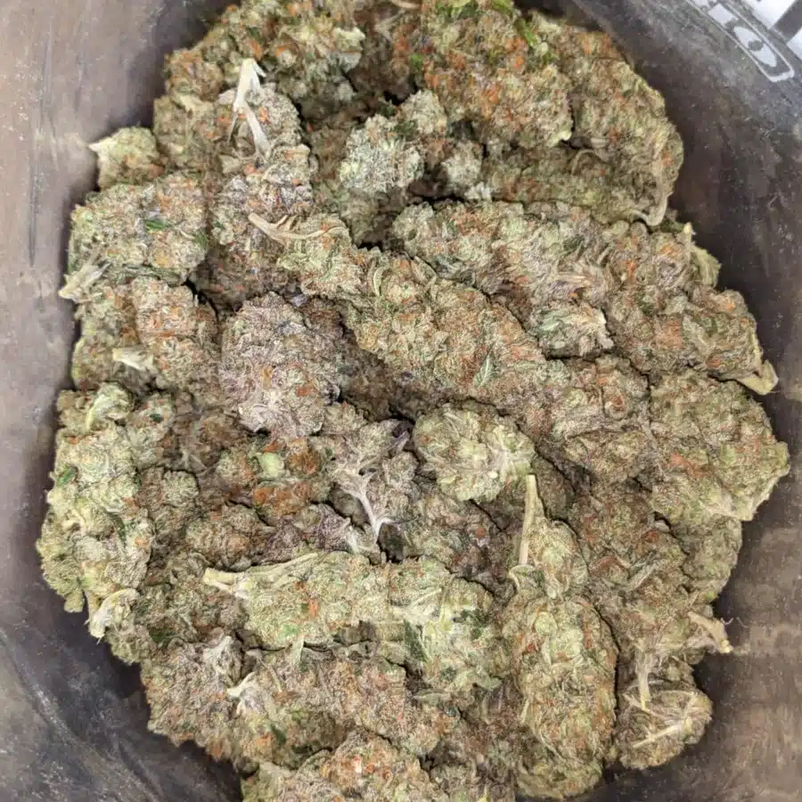 Gorilla glue 4 2 I Gorilla Glue #4
