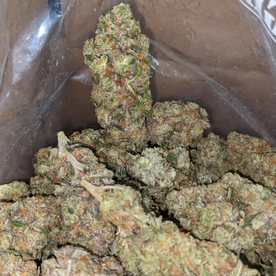 Gorilla glue 4 3 I Gorilla Glue #4