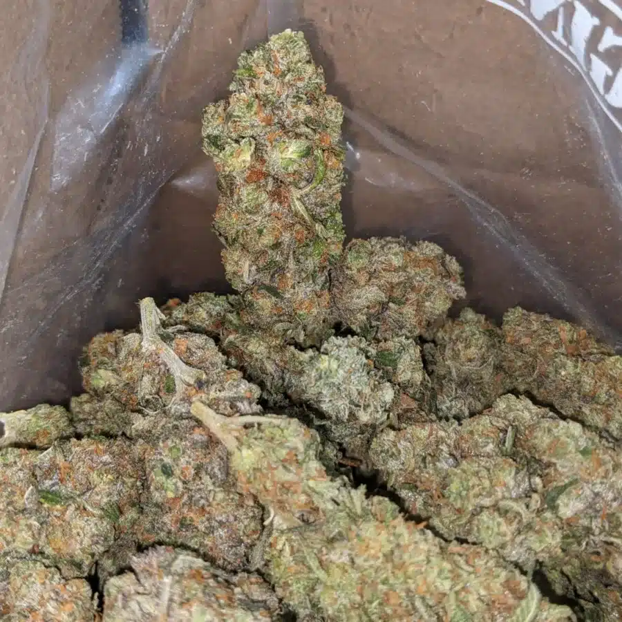 Gorilla glue 4 4 I Gorilla Glue #4