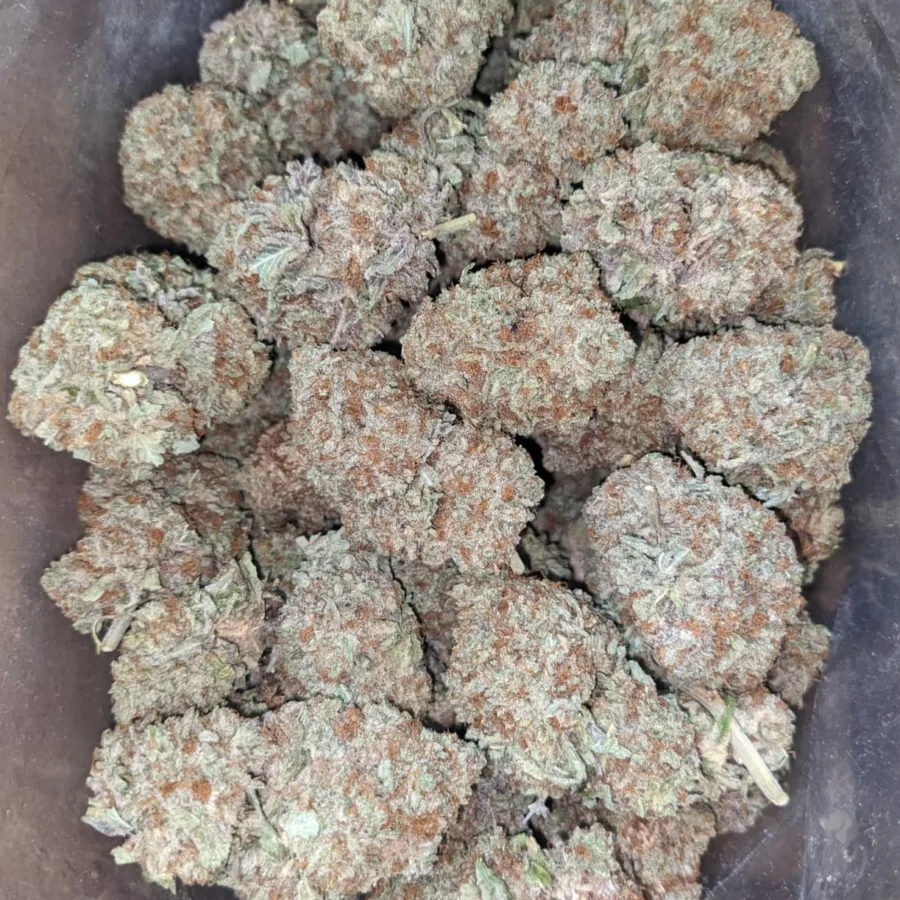 Green Crack - Image 5