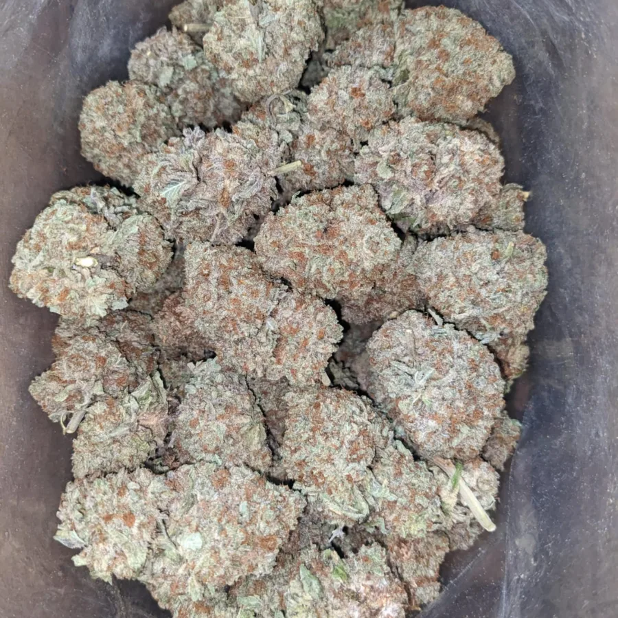 Green Crack