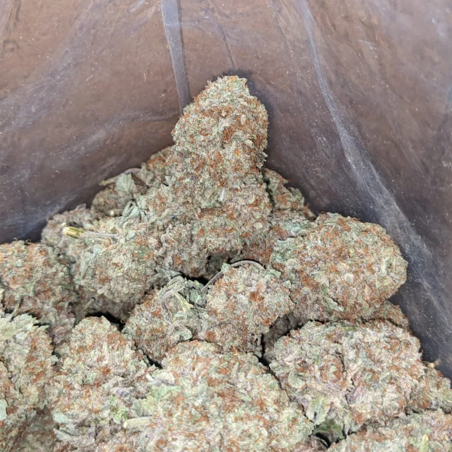 Green Crack - Image 3