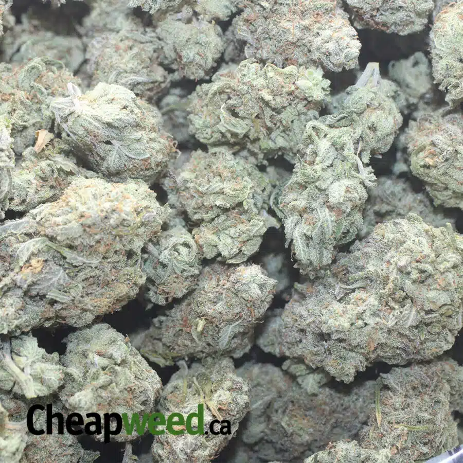 HAWAIIAN PUNCH 1 I $ 50 Oz - Hawaiian Punch