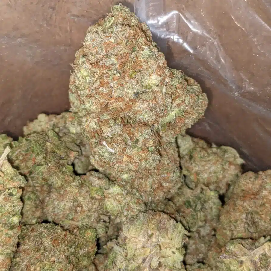 Hawaiian Punch 1 I Hawaiian Punch