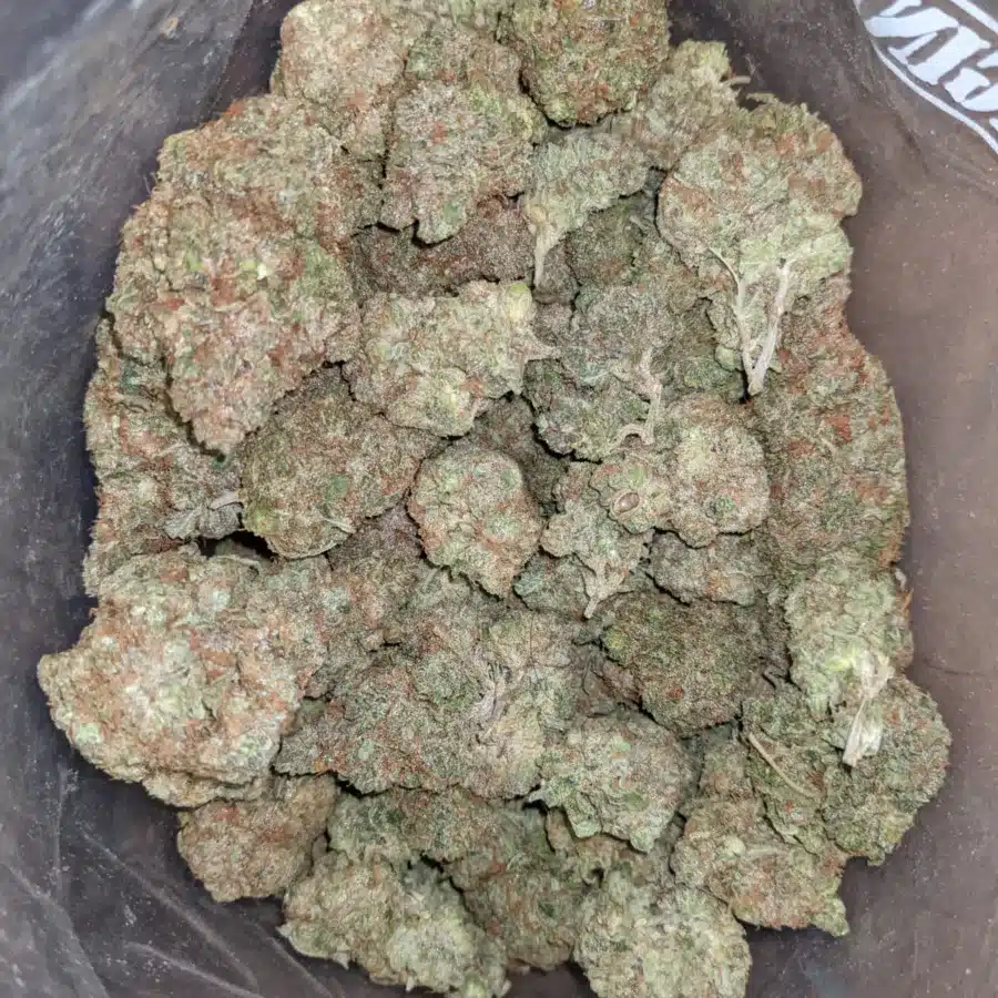 Hawaiian Punch 2 I Hawaiian Punch