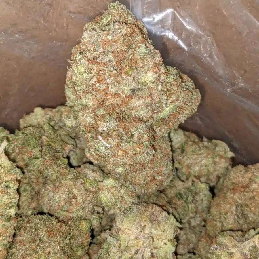 Hawaiian Punch 3 I Hawaiian Punch