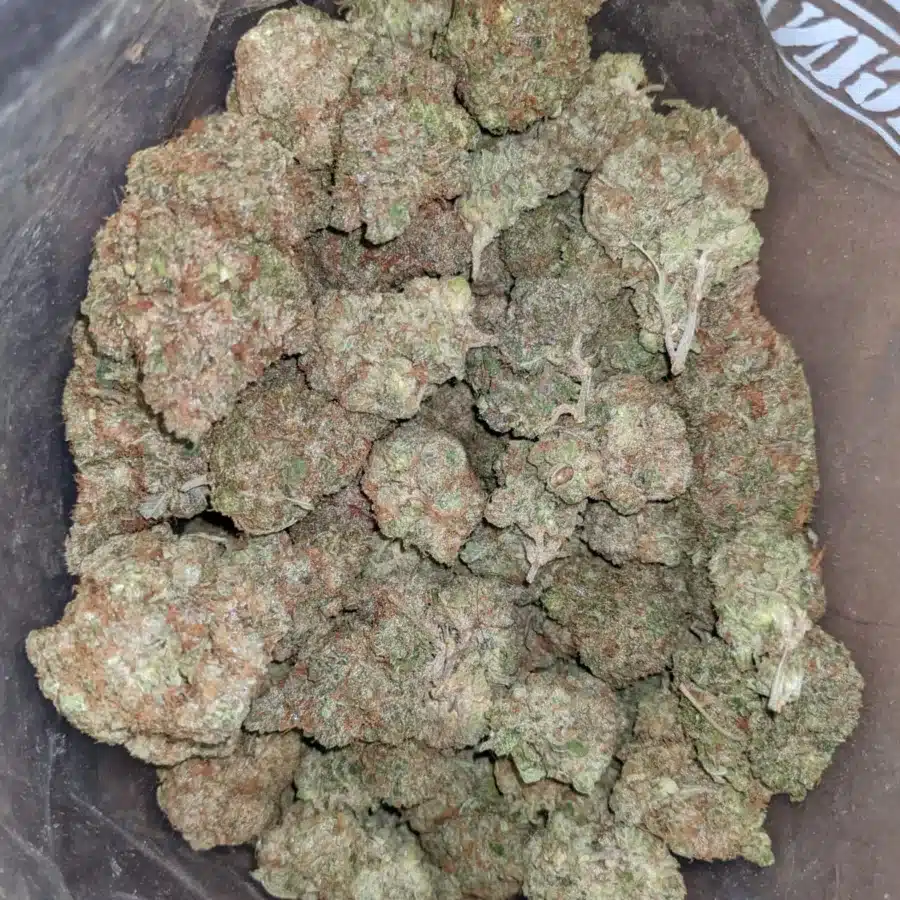 Hawaiian Punch 4 I Hawaiian Punch