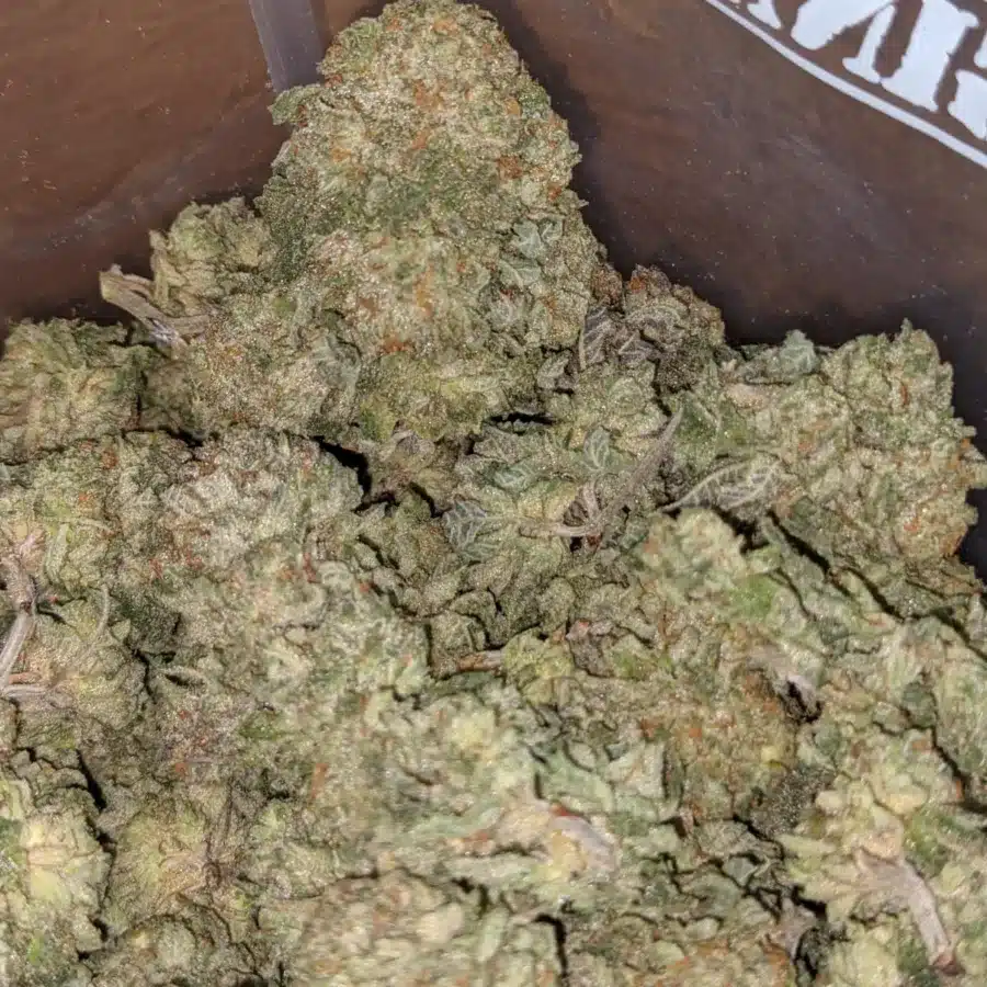 Headband 1 I $ 43 Oz - Headband
