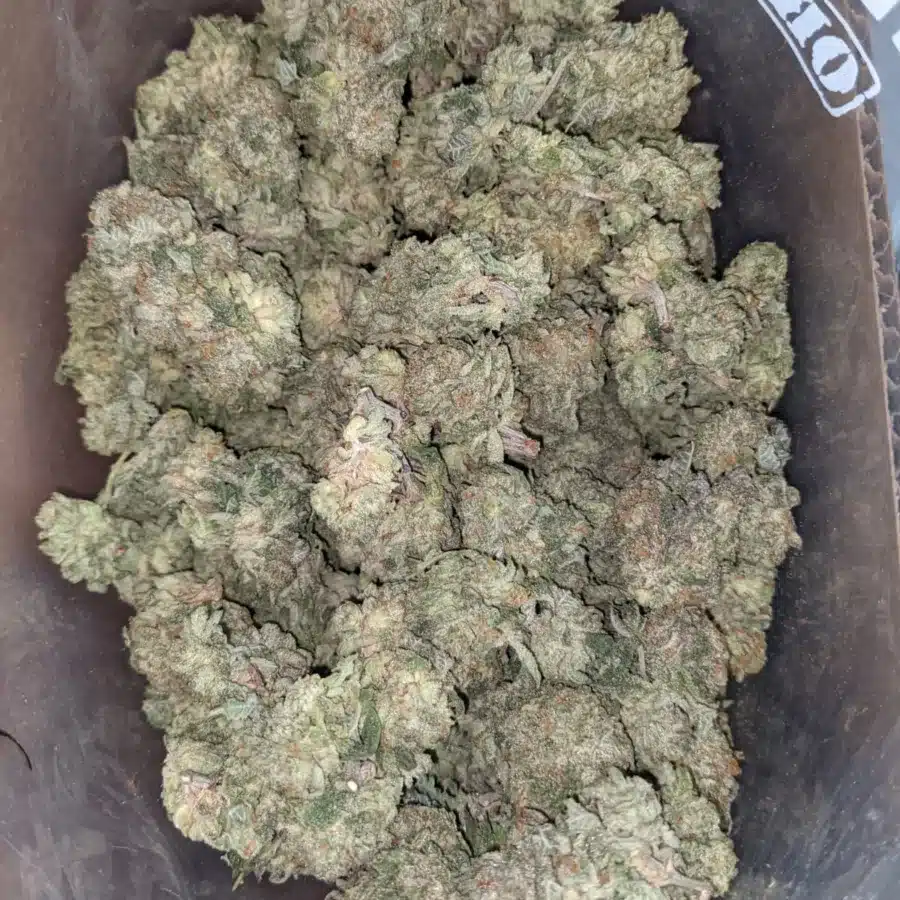 Headband 2 I $ 43 Oz - Headband