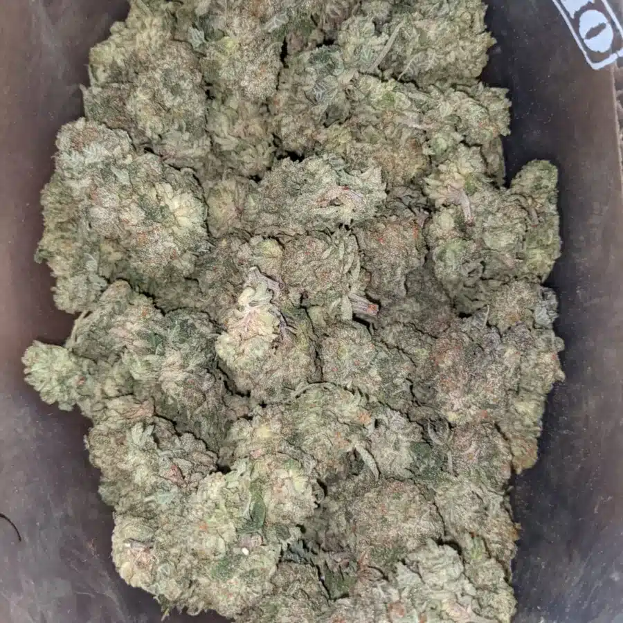Headband 3 I $ 43 Oz - Headband