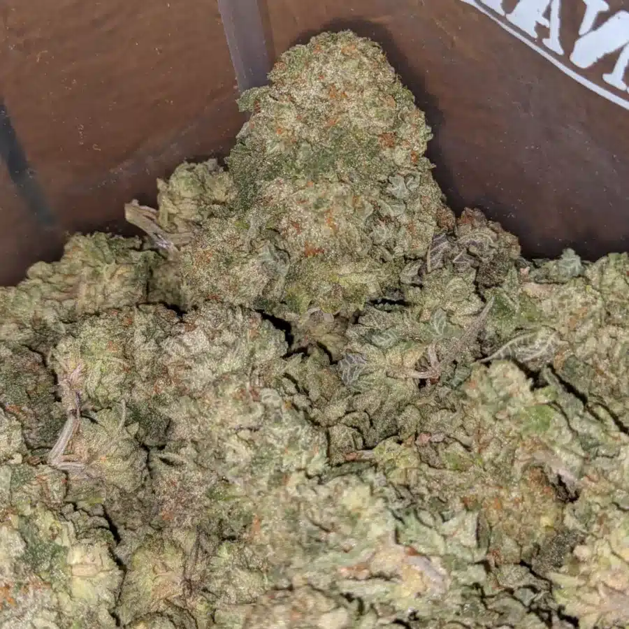 Headband 4 I $ 43 Oz - Headband