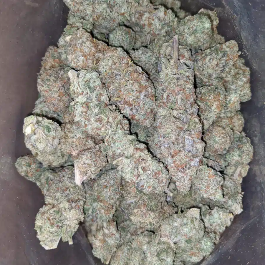 Juicy fruit 1 I Fruit Punch #2