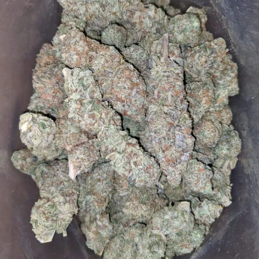 Juicy fruit 2 I Fruit Punch #2