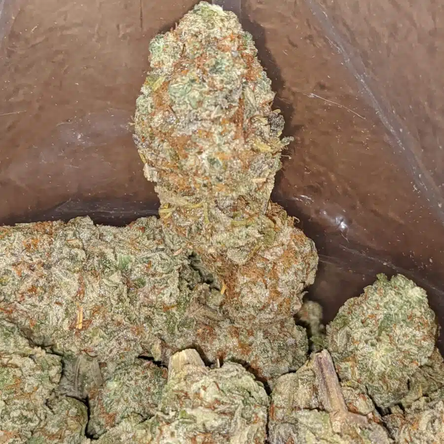 Juicy fruit 3 I Fruit Punch #2