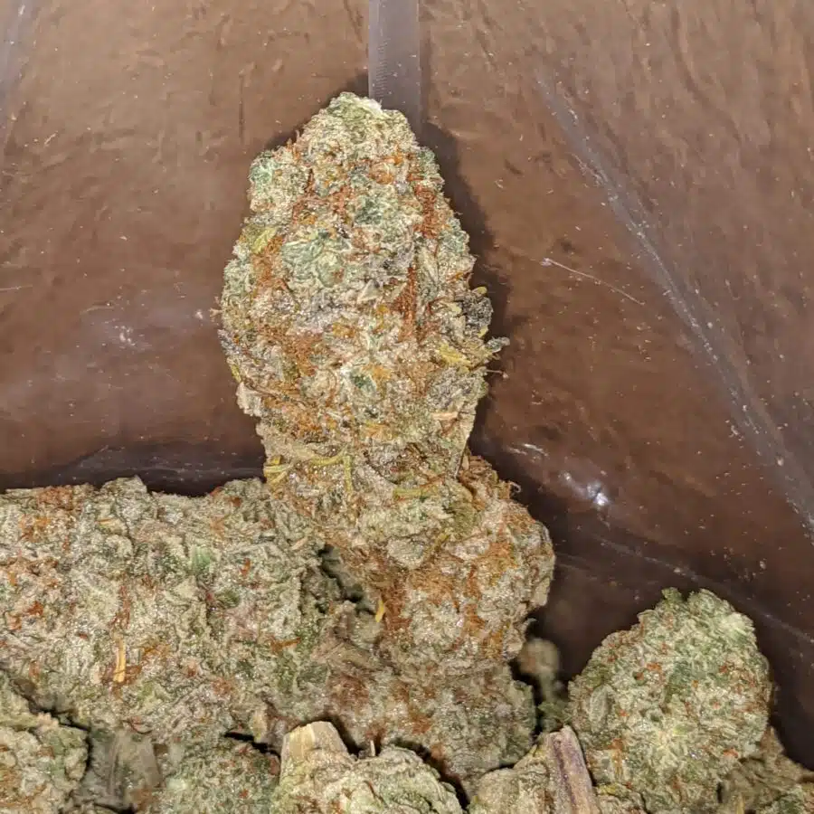 Juicy fruit 4 I Fruit Punch #2