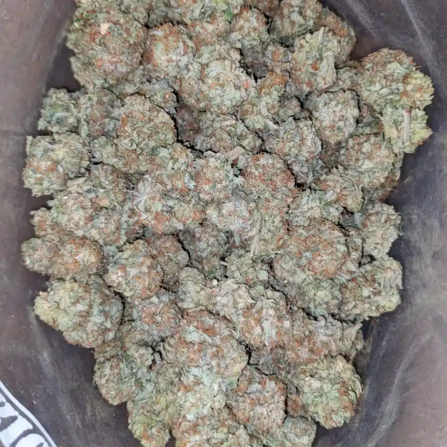 OG Kush