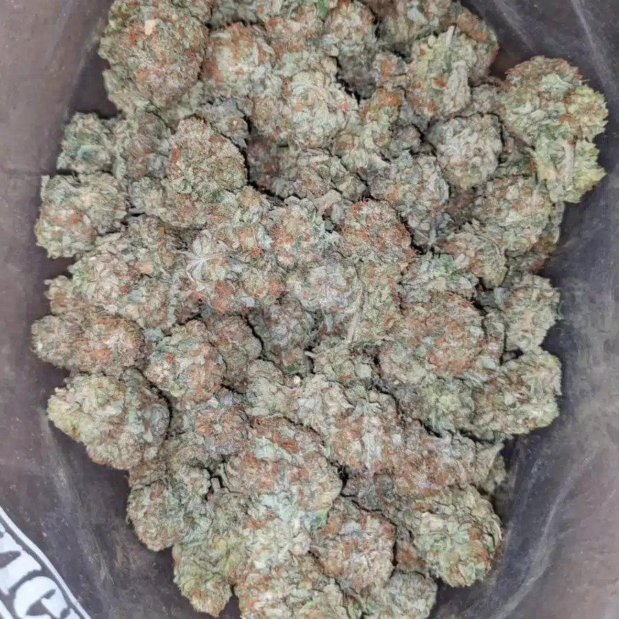 Alternative view of OG Kush