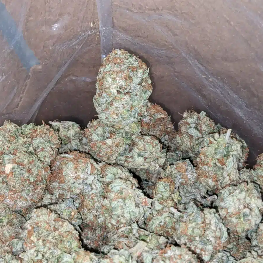 Kush Og 3 I OG Kush
