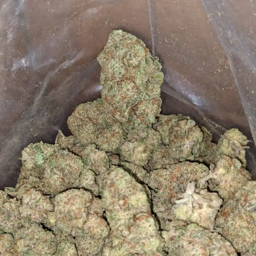 LEmon cherry gelato 1 I Lemon Cherry Gelato