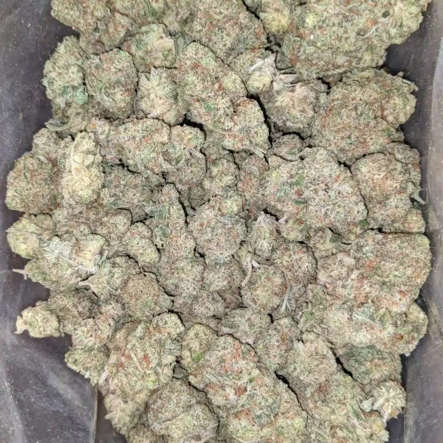 LEmon cherry gelato 2 I Lemon Cherry Gelato