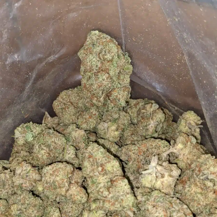 LEmon cherry gelato 3 I Lemon Cherry Gelato