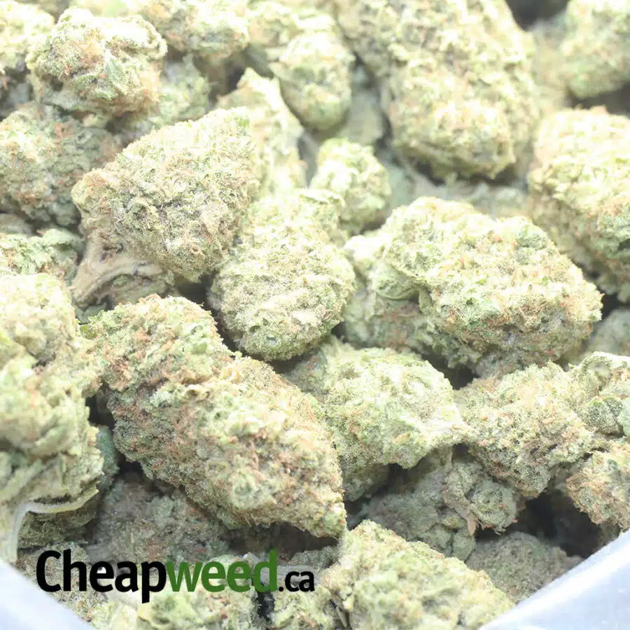 MANGO KUSH 1 I $ 50 Oz - Mango Kush