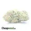 $ 50 Oz - Mango Kush