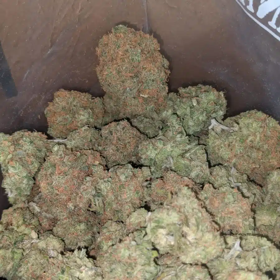Mimosa 4 I $ 47 Oz - Mimosa