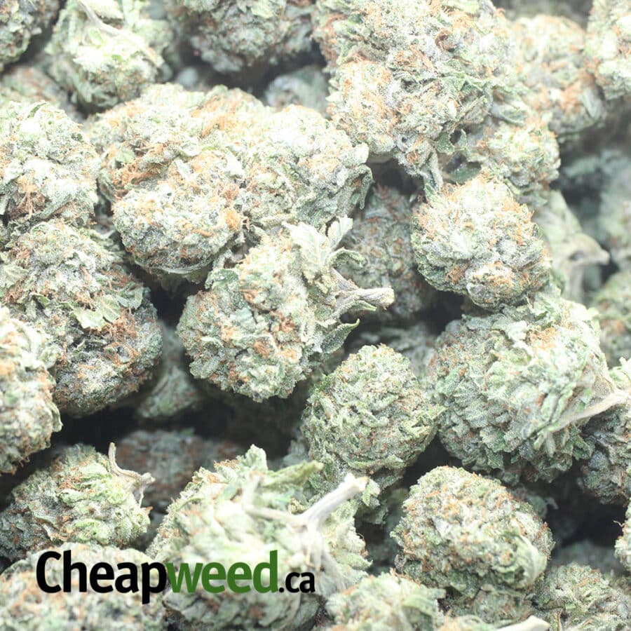 Pink Bubba Kush - Image 3