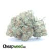 Pink Bubba Kush