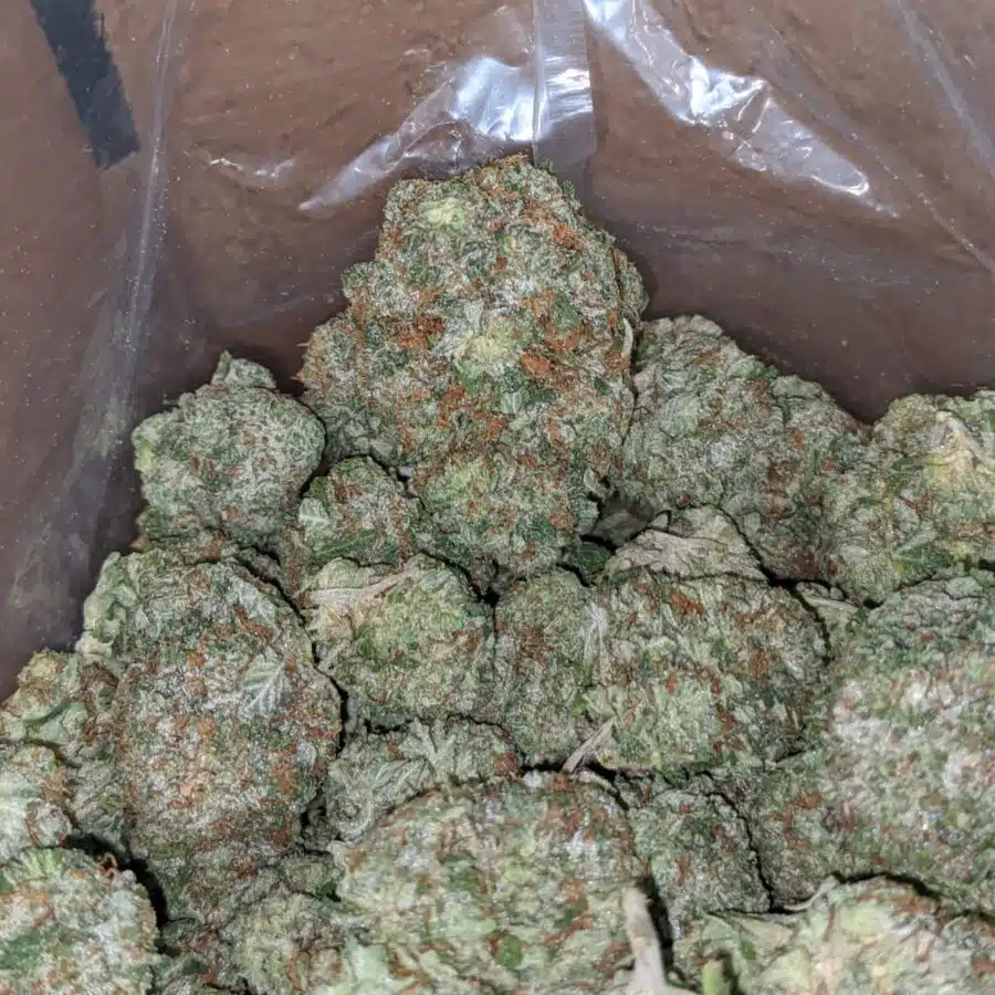 Pink Bubba Kush 3 I Pink Bubba Kush
