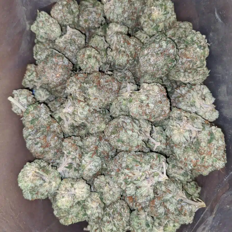 Pink Bubba Kush 4 I Pink Bubba Kush