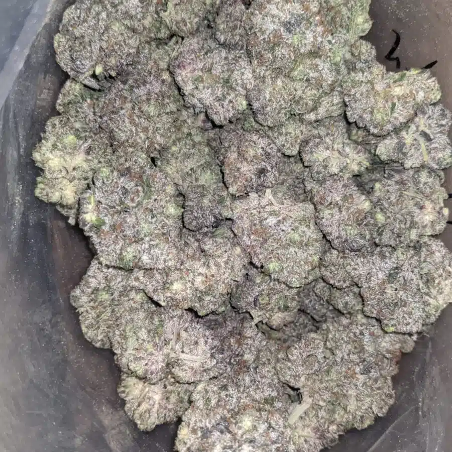 Pink Death Star 1 1 I Pink Death Star #2