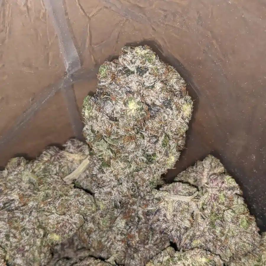 Pink Death Star 3 1 I Pink Death Star #2