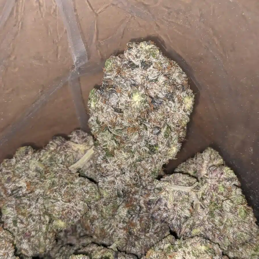 Pink Death Star 4 1 I Pink Death Star #2