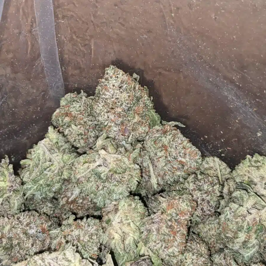 Alternative view of Presidential OG