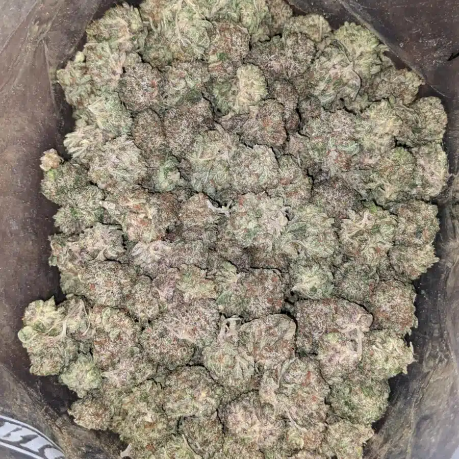 Presidential Og 2 I Presidential OG
