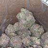 Purple God