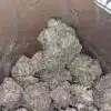 Purple God