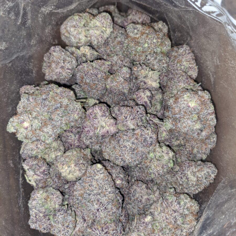 Purple God 3 I Purple God
