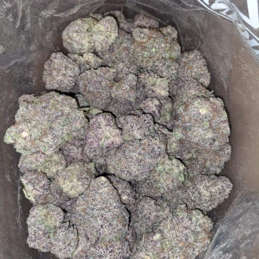Purple God 4 I Purple God