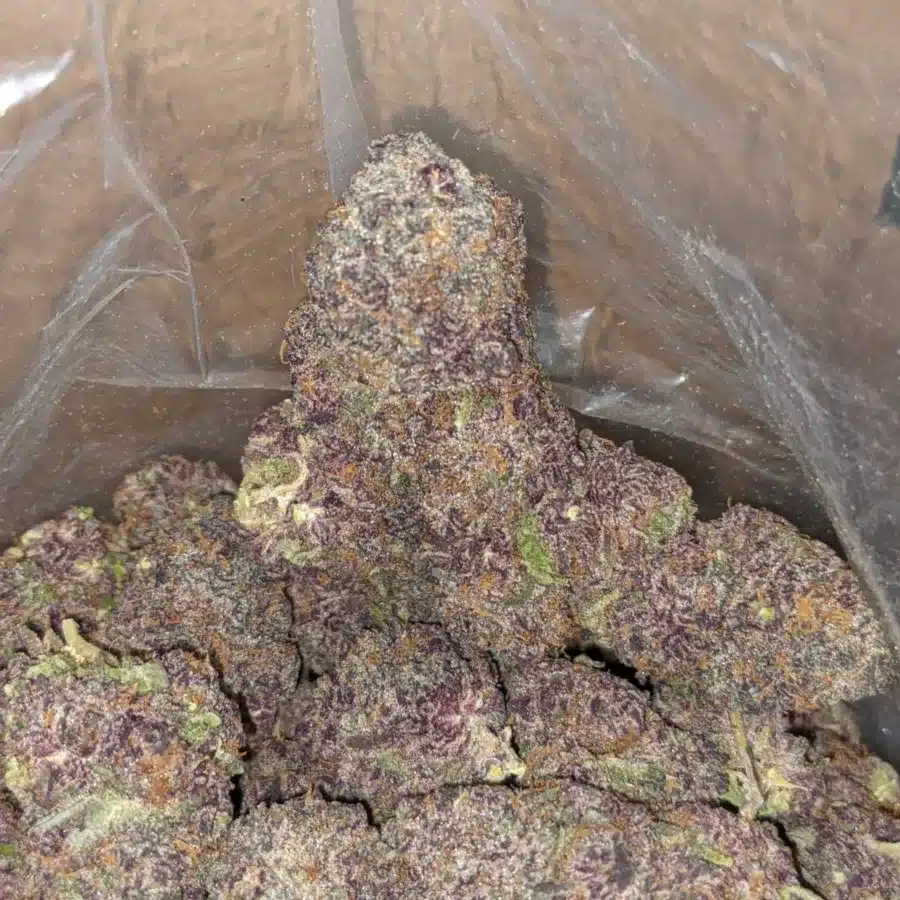 Purple Voodoo 3 I Purple Voodoo