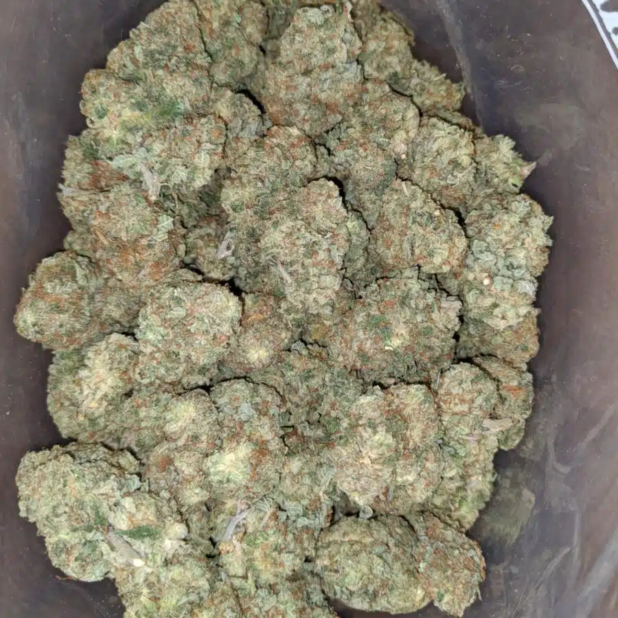 Rocket Fuel  #2